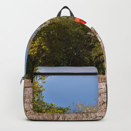 Hay Roof View Backpack