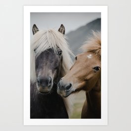 Happy Horses | Colour Art Print