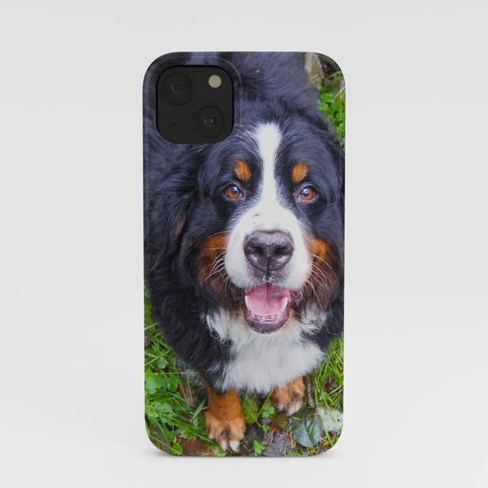 Bernese Mountain Dog iPhone Case