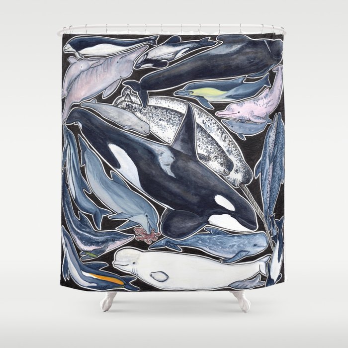 Dolphin, orca, beluga, narwhal & cie Shower Curtain