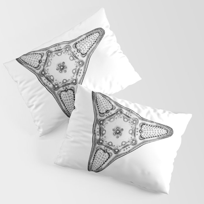 Diatom Pillow Sham