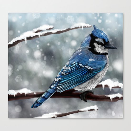 Blue Jay Canvas Print