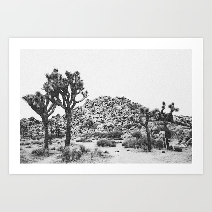 JOSHUA TREE VI / California Desert Art Print