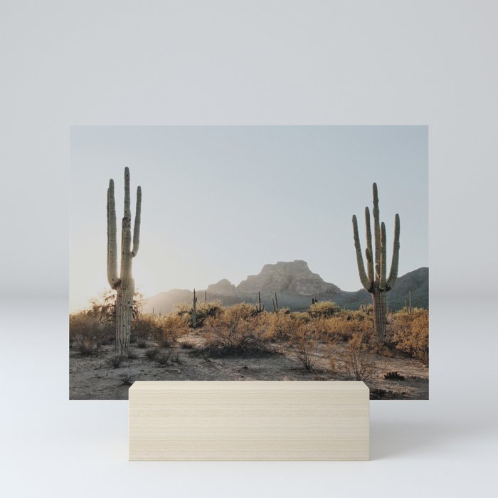 Two Saguaros Mini Art Print