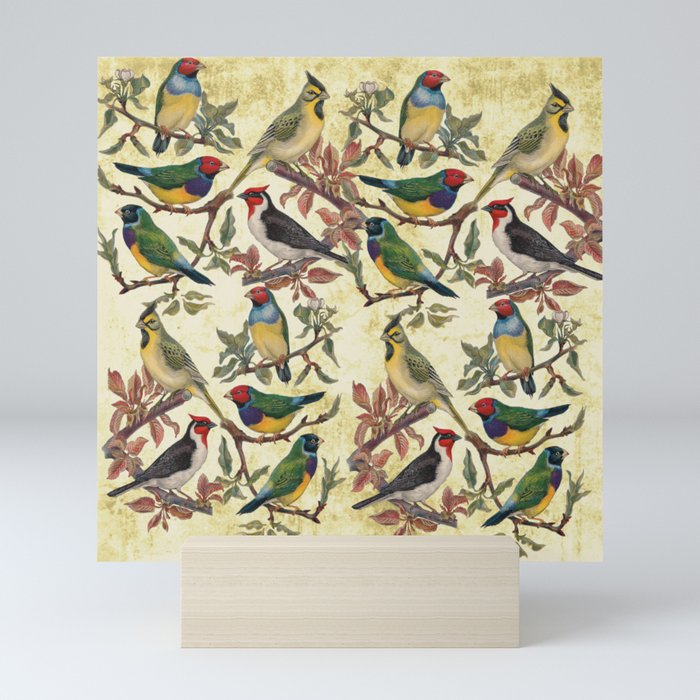 Vintage Birds Mini Art Print