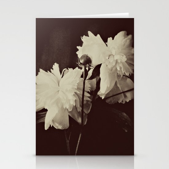 White Peony Stationery Cards