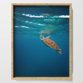 Turtle Swimming  Serving Tray