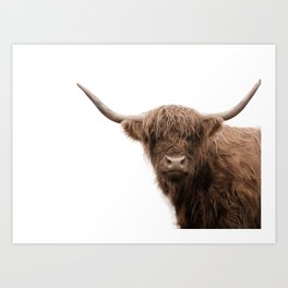 Highland Cow #5 #wall #art #society6  Art Print
