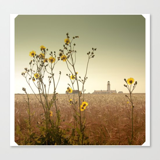 The Light Canvas Print