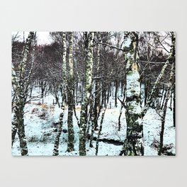 Winter Birch Trees in Expressive and I Art  Canvas Print