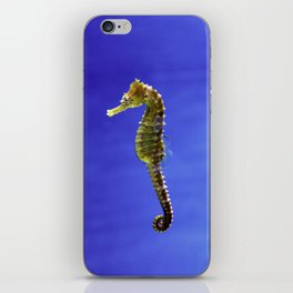 The Darling Seahorse iPhone Skin