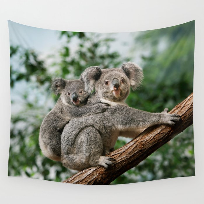 Koala tapestry hotsell