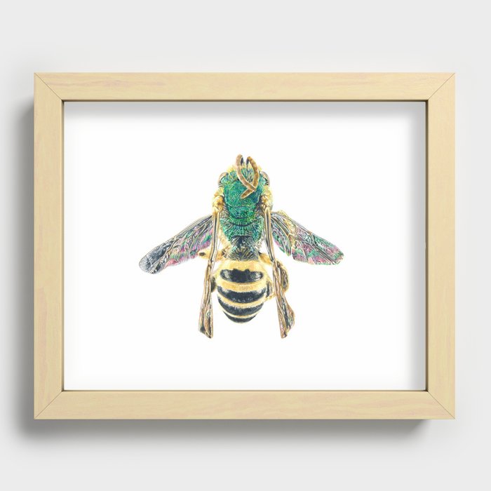 sweat bee, abeille verte, agapostemon Recessed Framed Print