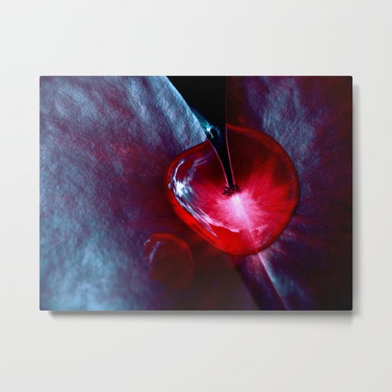 heartbeat - lily pad XII Metal Print