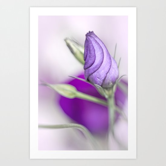 The new born Princess.... Art Print