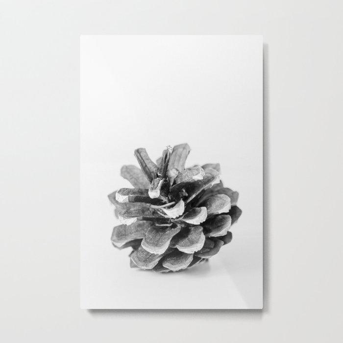 Winter Pine Cone  Metal Print