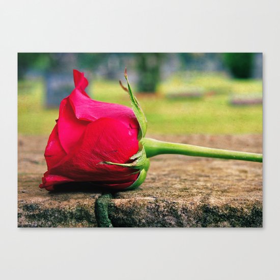 Rose aesthetics Canvas Print