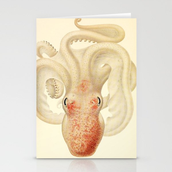 Art by Friedrich Wilhelm Winter from "Cephalopod Atlas" by Carl Chun, 1910 (benefitting Greenpeace) Stationery Cards
