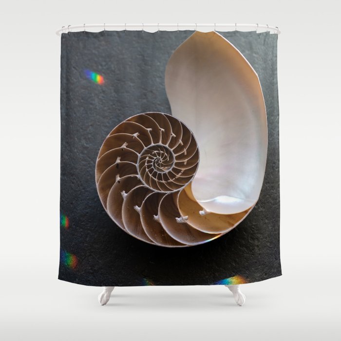 Nautilus Seashell And Crystal Rainbow Drops Shower Curtain