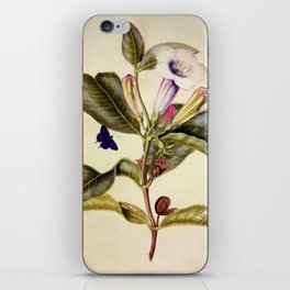  Sacred datura and blue butterfly iPhone Skin