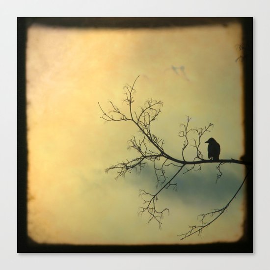 Solitude Mood Canvas Print
