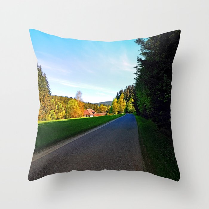Country Road On A Spring Afternoon Landscape Photography Throw Pillow By Patrickjobst Society6