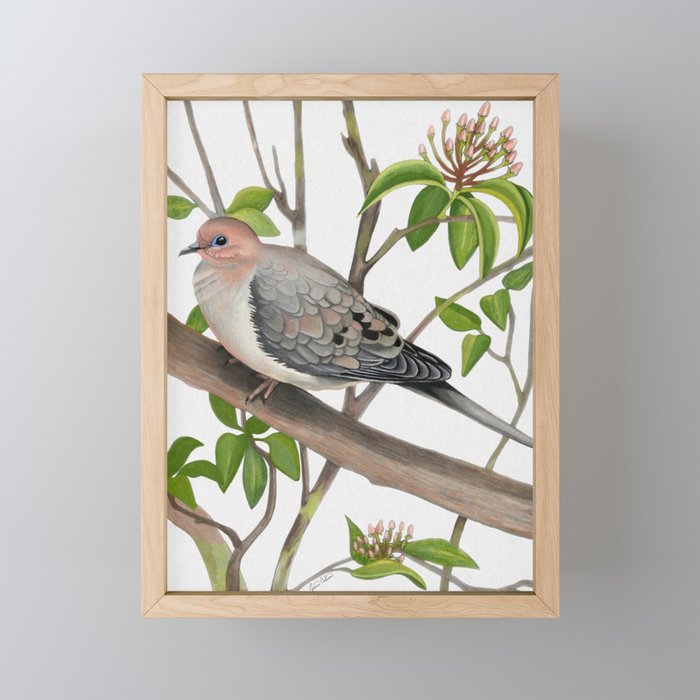 Mourning Dove Framed Mini Art Print