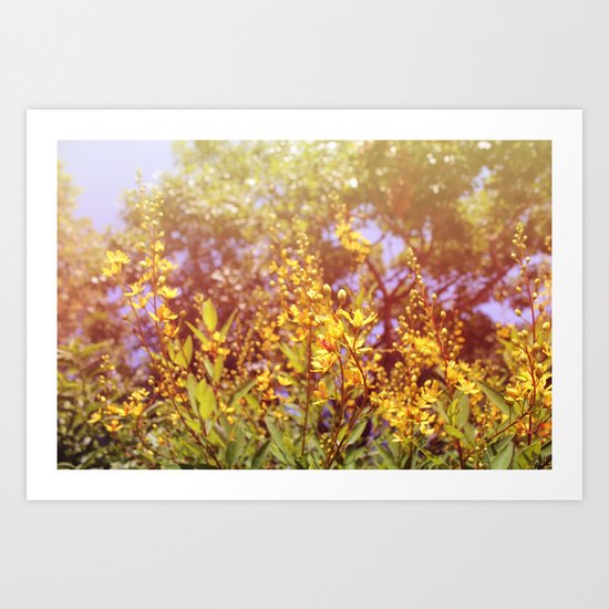 Sun shine on me! Art Print