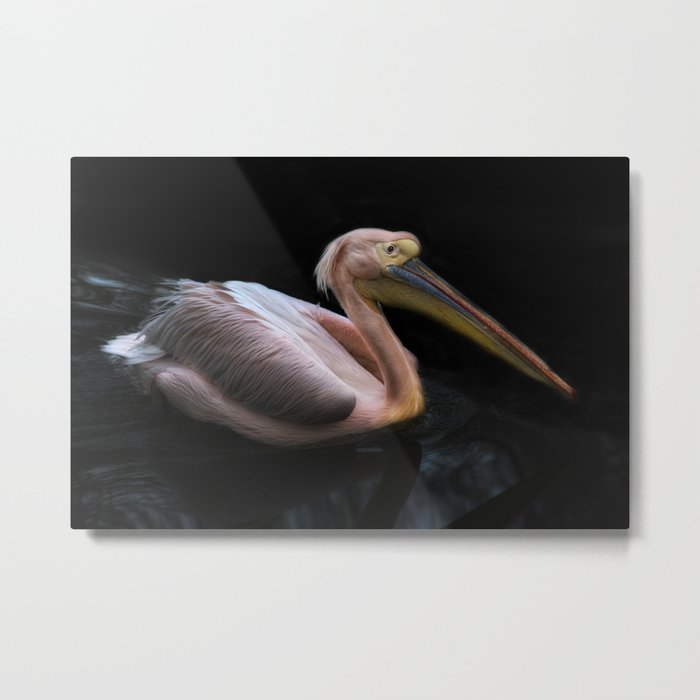 pelicano Metal Print