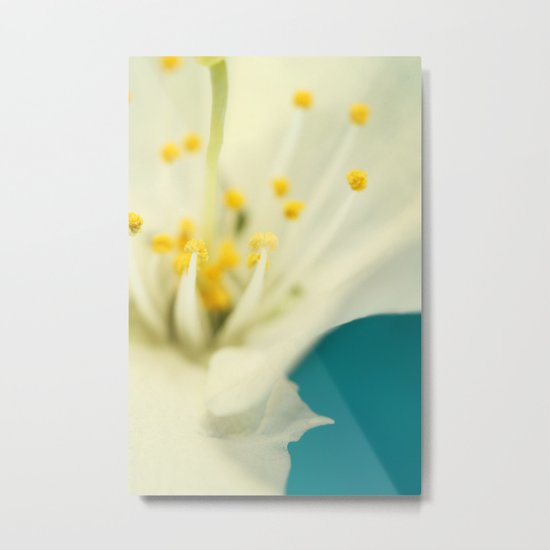 Blossom White Against Blue Metal Print