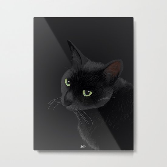 Black cat in the dark Metal Print