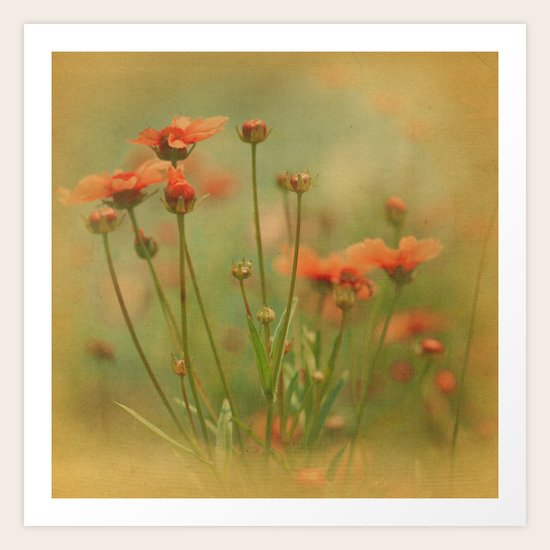 She May Be Art Print