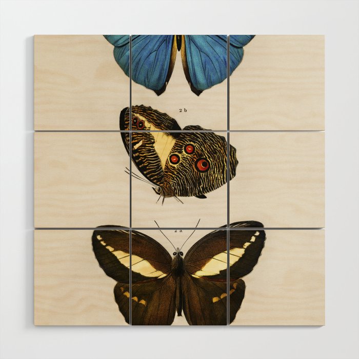 Different Types of Butterfly Wood Wall Art