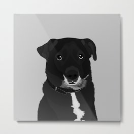 The Dashing Mixed-Breed Dog Metal Print | Perro, Rescuedog, Mutt, Terrier, Mixedbreed, Puppy, Adopt, Grayscale, Dog, Cute 