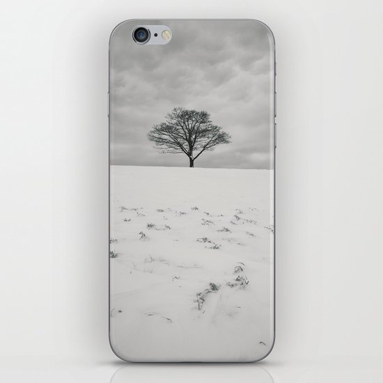 White Winterscape iPhone & iPod Skin