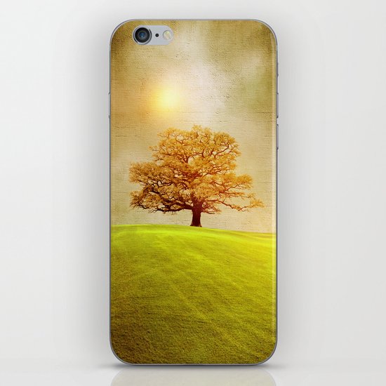 Energy & love iPhone & iPod Skin
