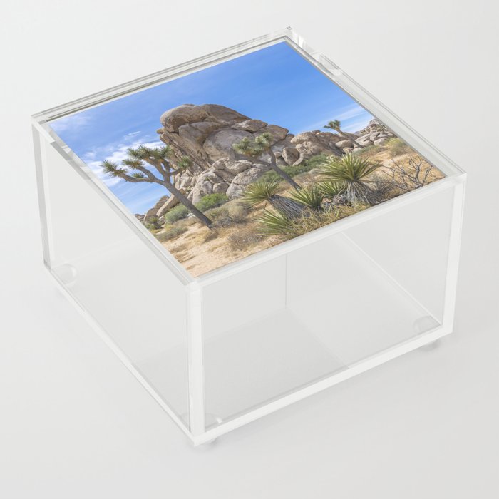 Roadside Rock, Joshua Tree National Park Acrylic Box