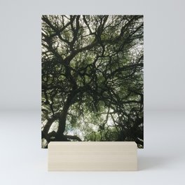 Under the tree canopy - Nature Photography - Art Print Mini Art Print