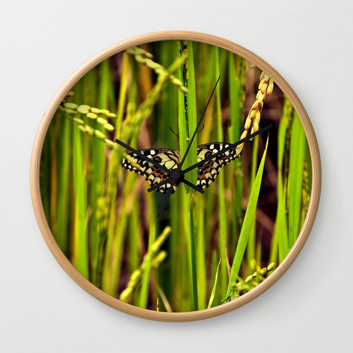 Butterfly in rice Wall Clock
