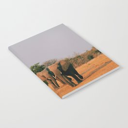 elephants during sunset Notebook