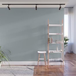 Light Pastel Blue Solid Color Pairs with Sherwin Williams Haven 2020 Forecast Colors Stardew SW9138 Wall Mural