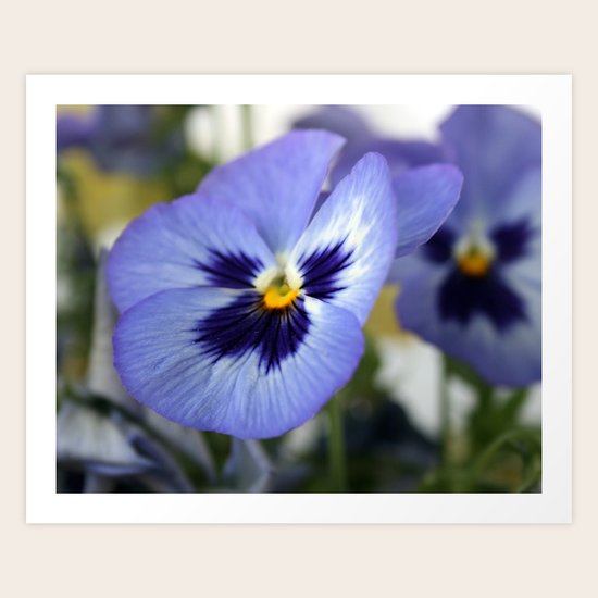Flower Art Print
