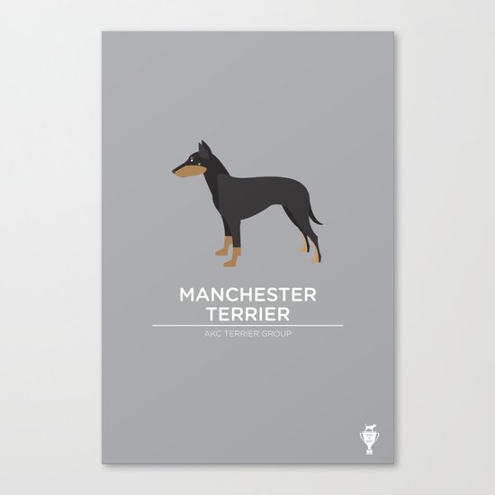 Manchester Terrier Canvas Print