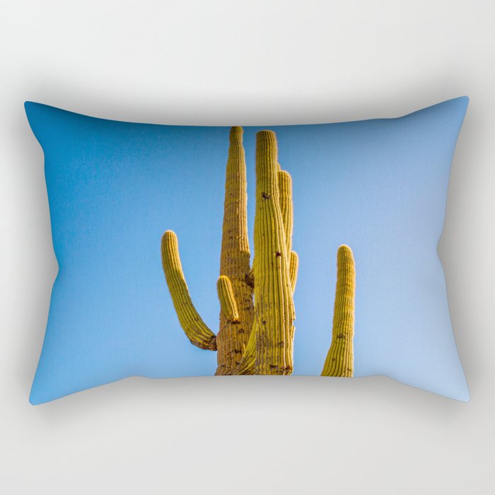 Minimalist Green Cactus Blue Sky Mexican Desert Landscape Rectangular Pillow