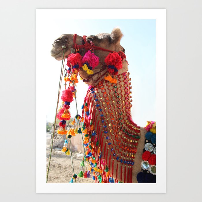 Boho Camel with Tassels and Pom Poms, in India Art Print