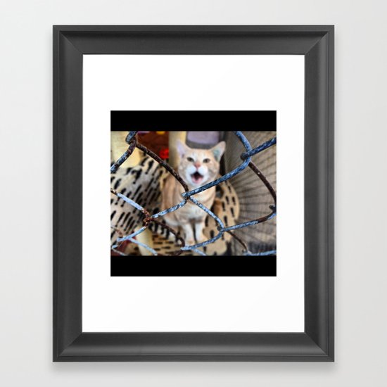 cat Framed Art Print