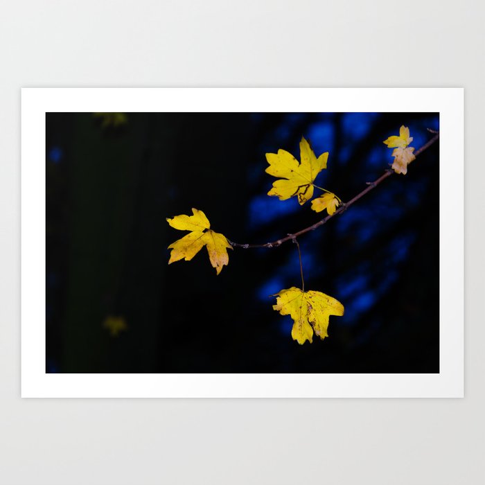 Yellow and blue Art Print