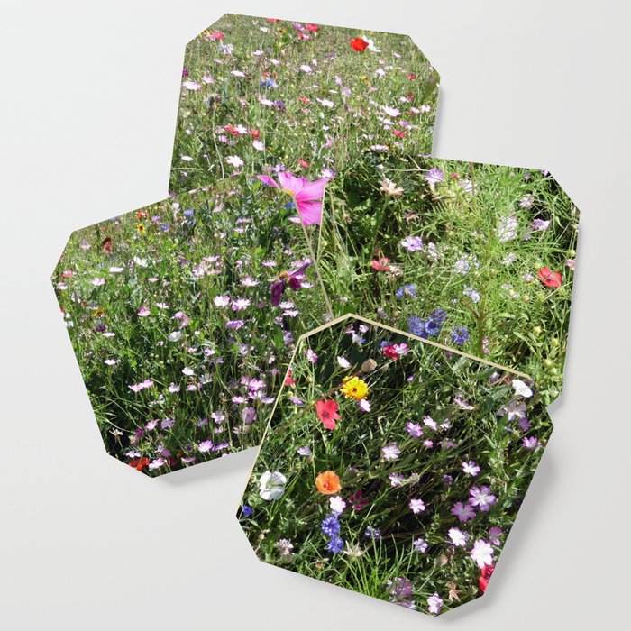 Wildflower meadow in France Coaster