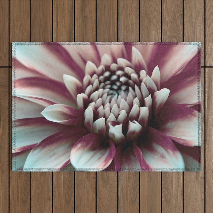 Violet Purple And White Dahlia Flower Macro Outdoor Rug