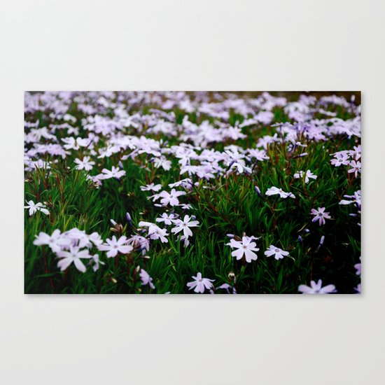 Field Canvas Print